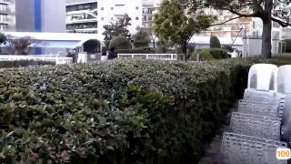 女网友酷似关晓彤的女友被男友出租屋偷情爆插